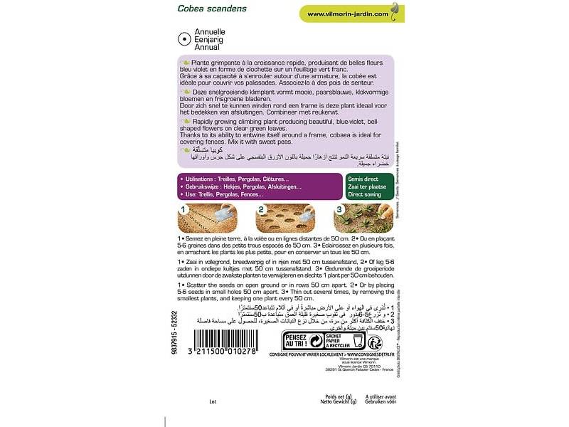 Vilmorin - Cobée grimpante série 2 sachet graines 1,5 g - Vilmorin - Image 2