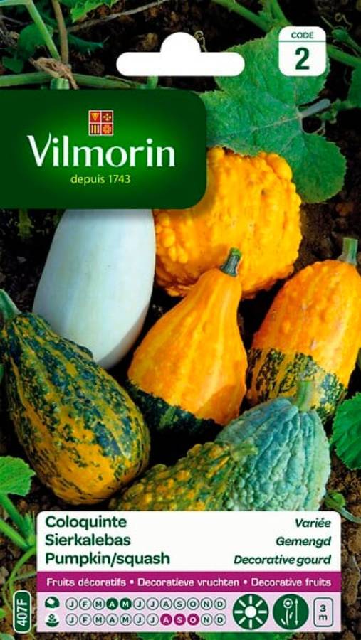 Vilmorin - Coloquinte en mélange série 2 sachet graines 3 g - Vilmorin - Image 1
