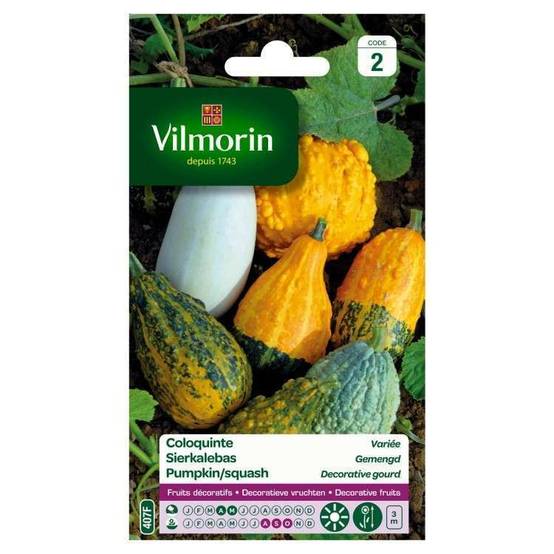 Vilmorin - Coloquinte en mélange série 2 sachet graines 3 g - Vilmorin - Image 2