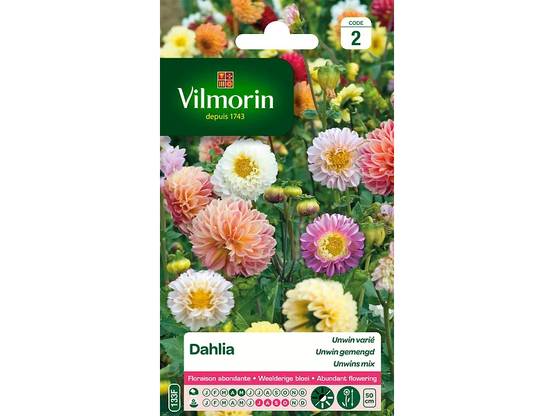 Vilmorin - Dahlia unwin varie série 2 sachet graines 1 g - Vilmorin - Image 3