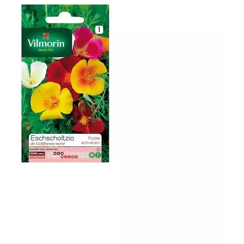 Vilmorin - Eschscholtzia de Californie varie série 1 sachet graines 1,5 g - Vilmorin - Image 4