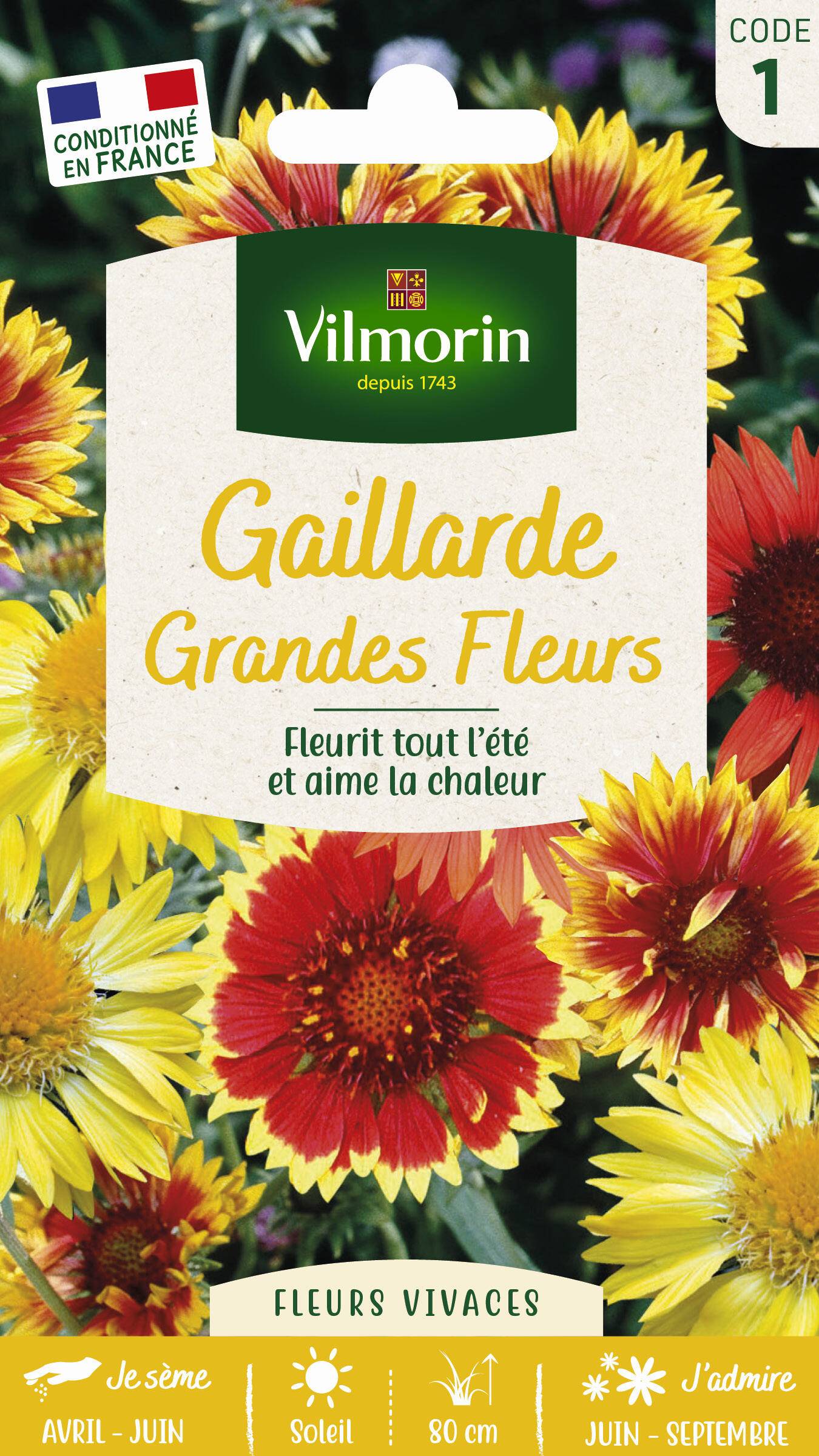 Vilmorin - Gaillarde variée a grande fleur série 1 sachet graines 1,5 g - Vilmorin - Image 3