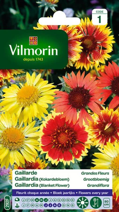 Vilmorin - Gaillarde variée a grande fleur série 1 sachet graines 1,5 g - Vilmorin - Image 4