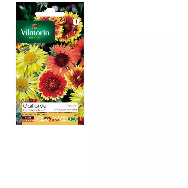 Vilmorin - Gaillarde variée a grande fleur série 1 sachet graines 1,5 g - Vilmorin - Image 5