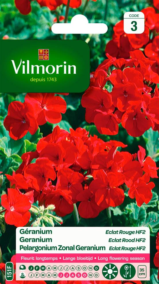 Vilmorin - Géranium Eclat Rouge HF2 serie 3 sachet graines 0,4 g - Vilmorin - Image 2