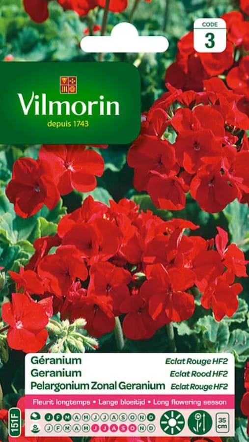 Vilmorin - Géranium Eclat Rouge HF2 serie 3 sachet graines 0,4 g - Vilmorin - Image 3