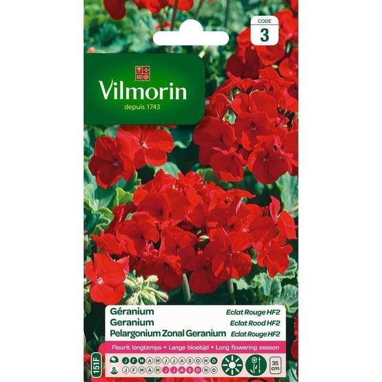 Vilmorin - Géranium Eclat Rouge HF2 serie 3 sachet graines 0,4 g - Vilmorin - Image 4