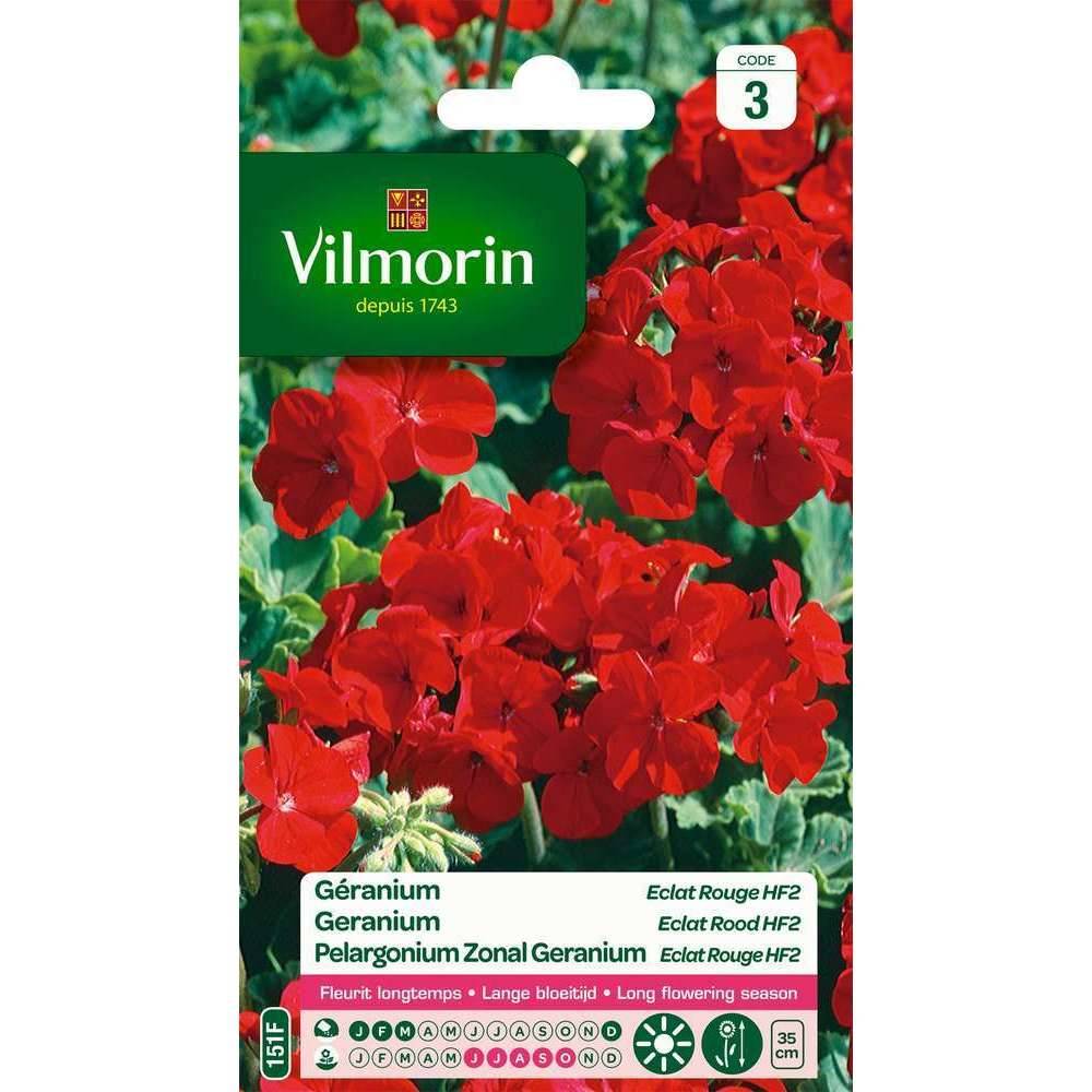 Vilmorin - Géranium Eclat Rouge HF2 serie 3 sachet graines 0,4 g - Vilmorin - Image 4