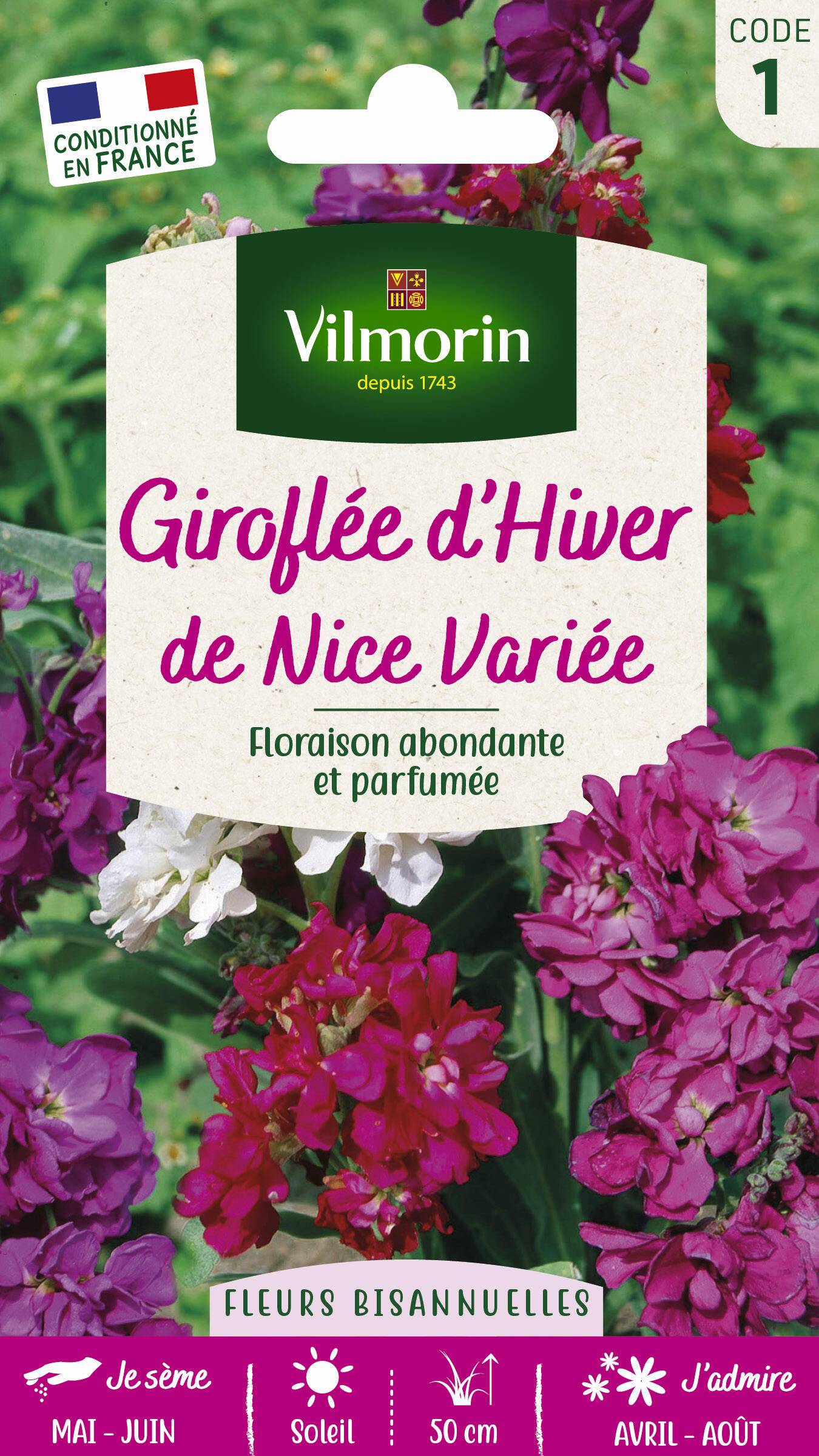 Vilmorin - Giroflée d hiver de Nice variée série 1 sachet graines 0,5 g - Vilmorin - Image 4
