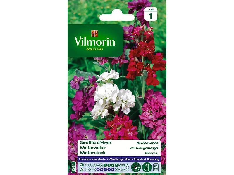 Vilmorin - Giroflée d hiver de Nice variée série 1 sachet graines 0,5 g - Vilmorin - Image 3