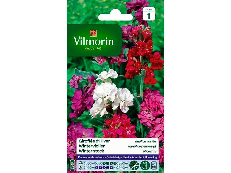 Vilmorin - Giroflée d hiver de Nice variée série 1 sachet graines 0,5 g - Vilmorin - Image 1
