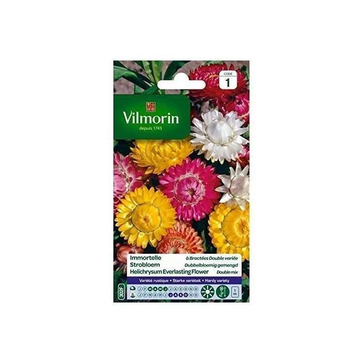 Vilmorin - Immortelle a bractées double variée série 1 sachet graines 1 g - Vilmorin - Image 4