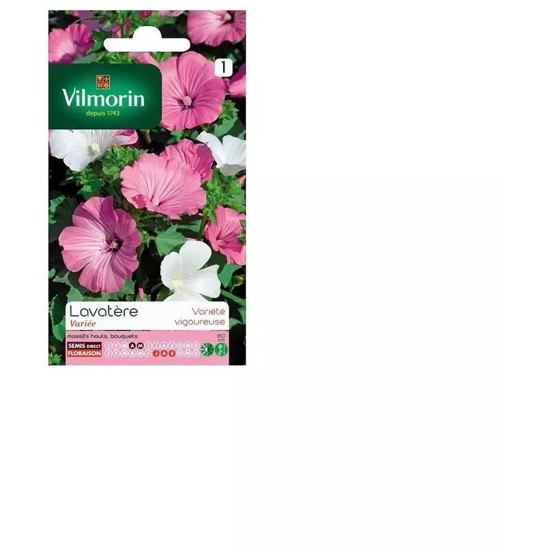 Vilmorin - Lavatère a grande fleur variée série 1 sachet graines 3 g - Vilmorin - Image 1