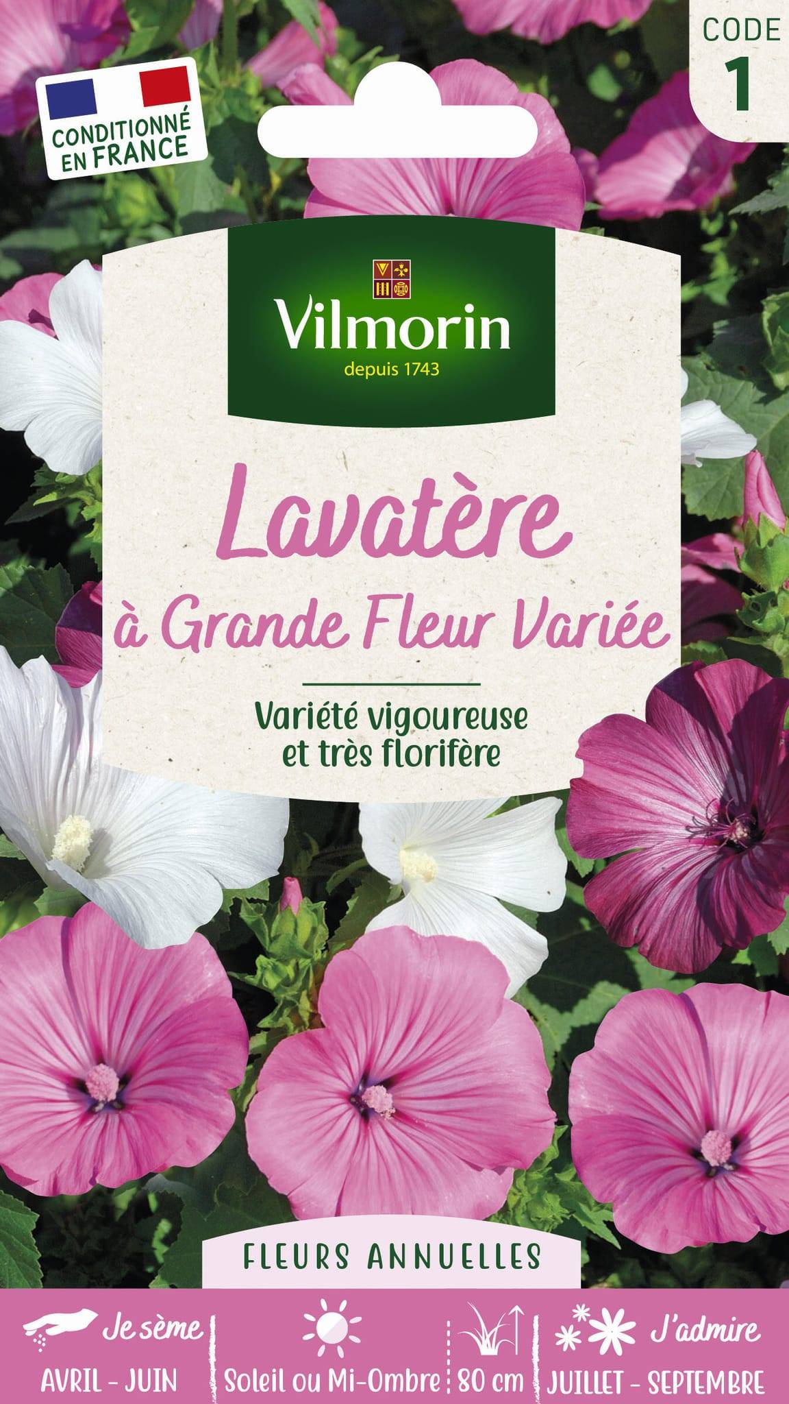 Vilmorin - Lavatère a grande fleur variée série 1 sachet graines 3 g - Vilmorin