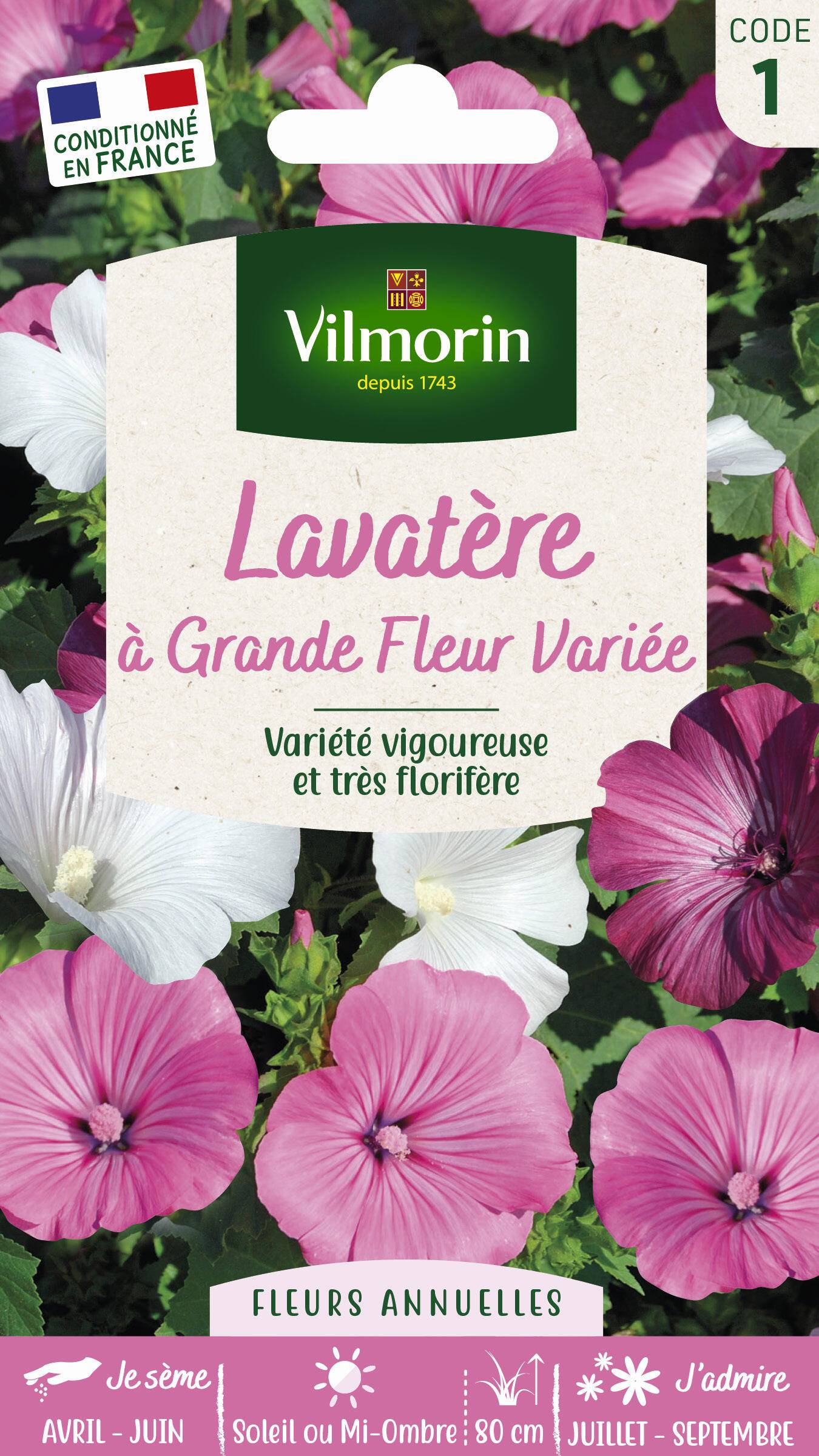 Vilmorin - Lavatère a grande fleur variée série 1 sachet graines 3 g - Vilmorin - Image 3