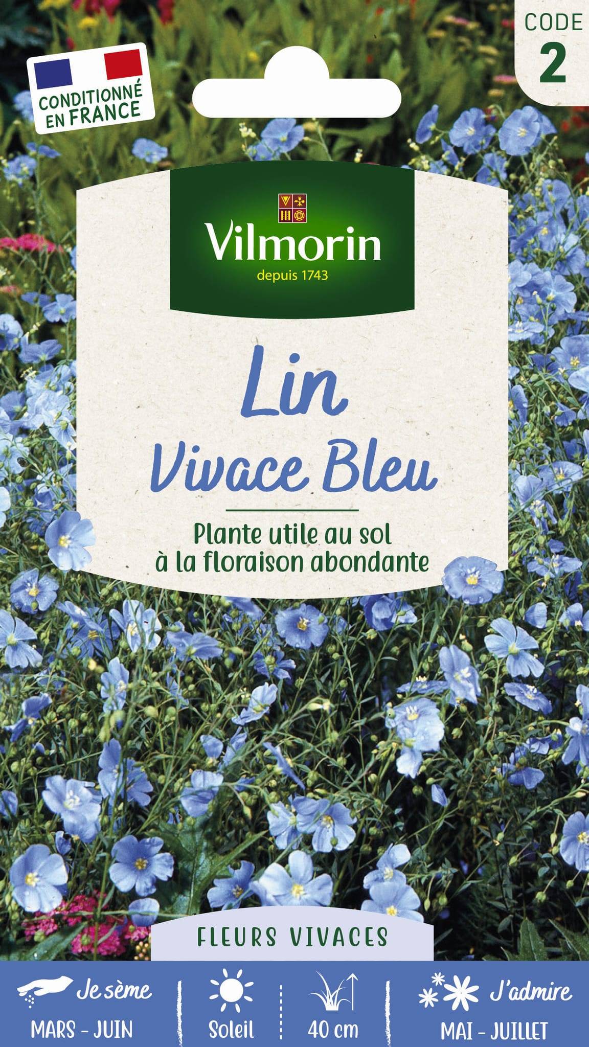 Vilmorin - Lin vivace bleu série 2 sachet graines 3 g - Vilmorin