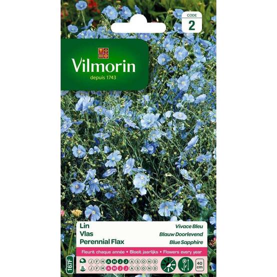 Vilmorin - Lin vivace bleu série 2 sachet graines 3 g - Vilmorin - Image 4
