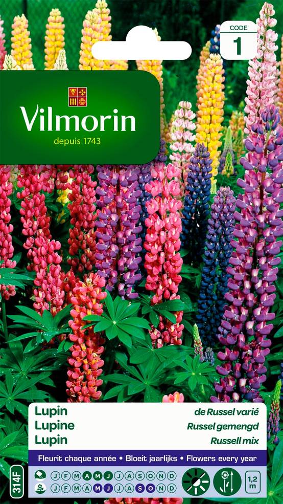 Vilmorin - Lupin de Russel varie série 1 sachet graines 2,5 g - Vilmorin - Image 2