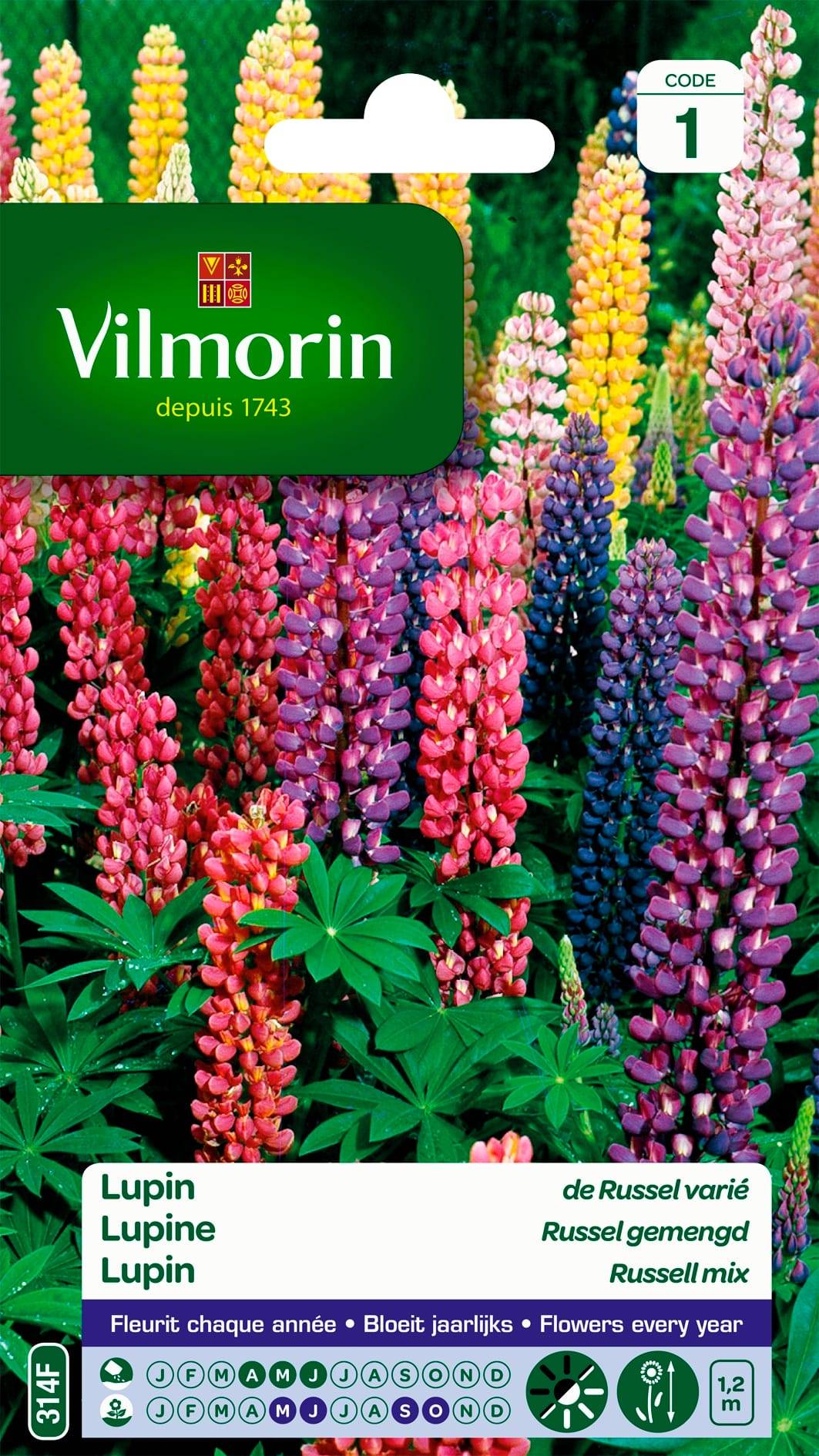 Vilmorin - Lupin de Russel varie série 1 sachet graines 2,5 g - Vilmorin - Image 2
