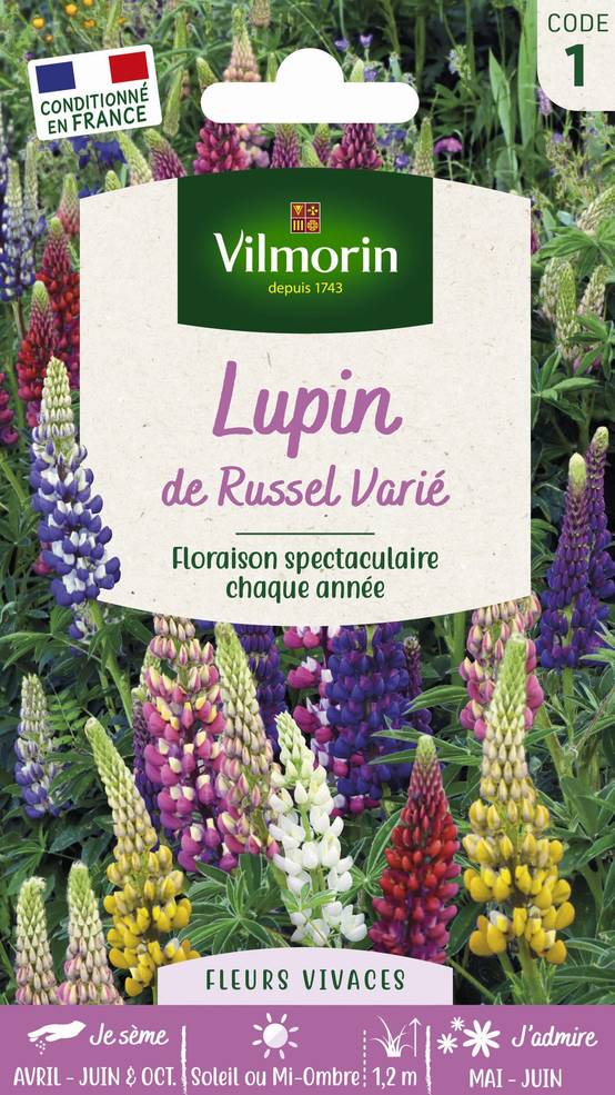 Vilmorin - Lupin de Russel varie série 1 sachet graines 2,5 g - Vilmorin - Image 1