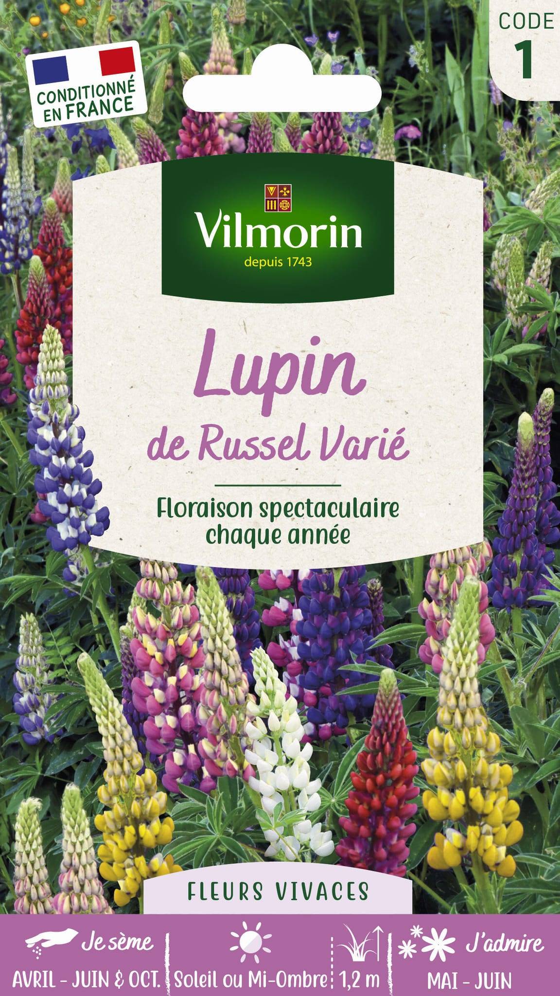 Vilmorin - Lupin de Russel varie série 1 sachet graines 2,5 g - Vilmorin - Image 1
