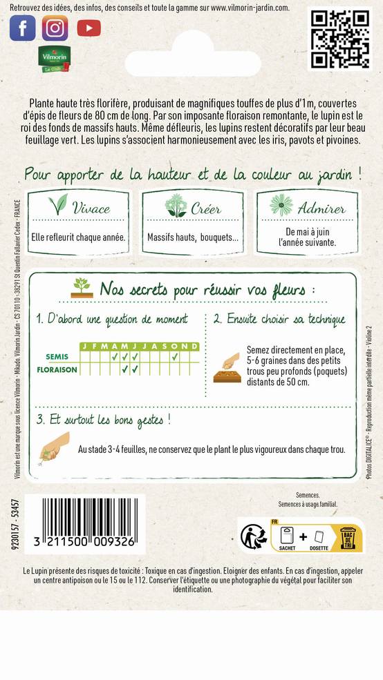Vilmorin - Lupin de Russel varie série 1 sachet graines 2,5 g - Vilmorin - Image 3