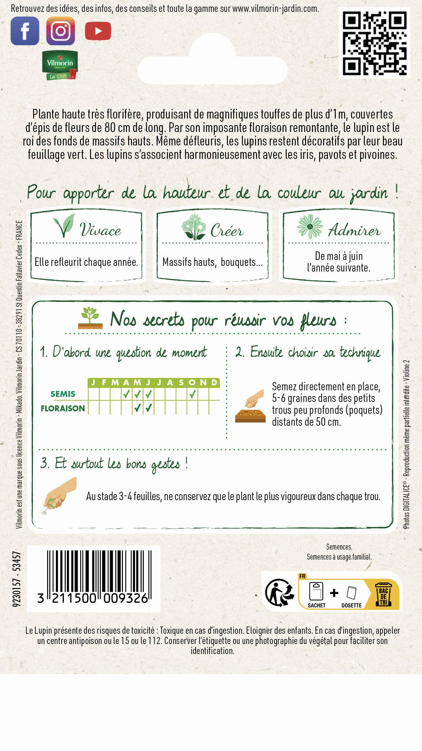 Vilmorin - Lupin de Russel varie série 1 sachet graines 2,5 g - Vilmorin - Image 3