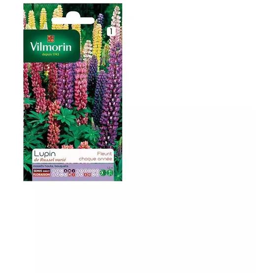 Vilmorin - Lupin de Russel varie série 1 sachet graines 2,5 g - Vilmorin - Image 4