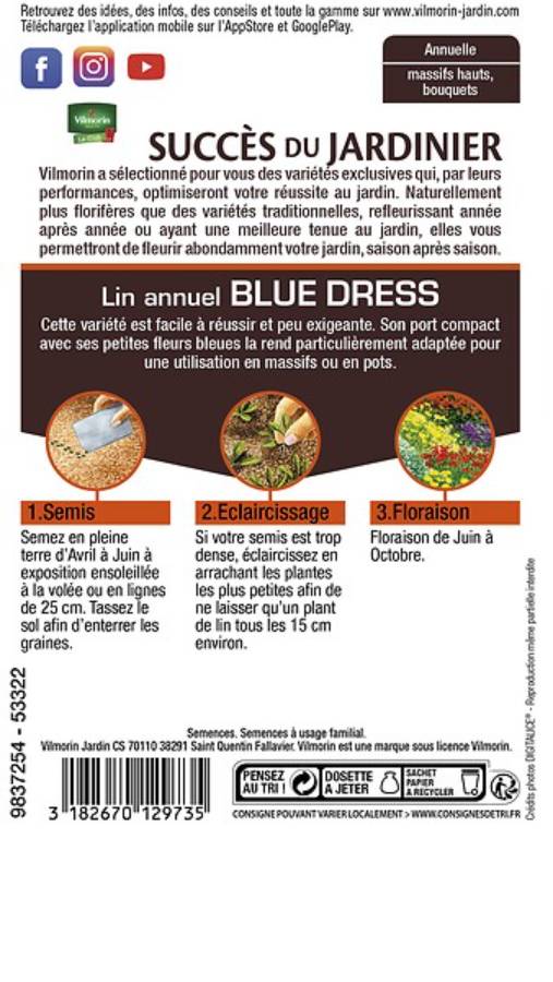 Vilmorin - Lin Annuel Blue Dress    serie 2 sachet graines 3 g - Vilmorin - Image 6