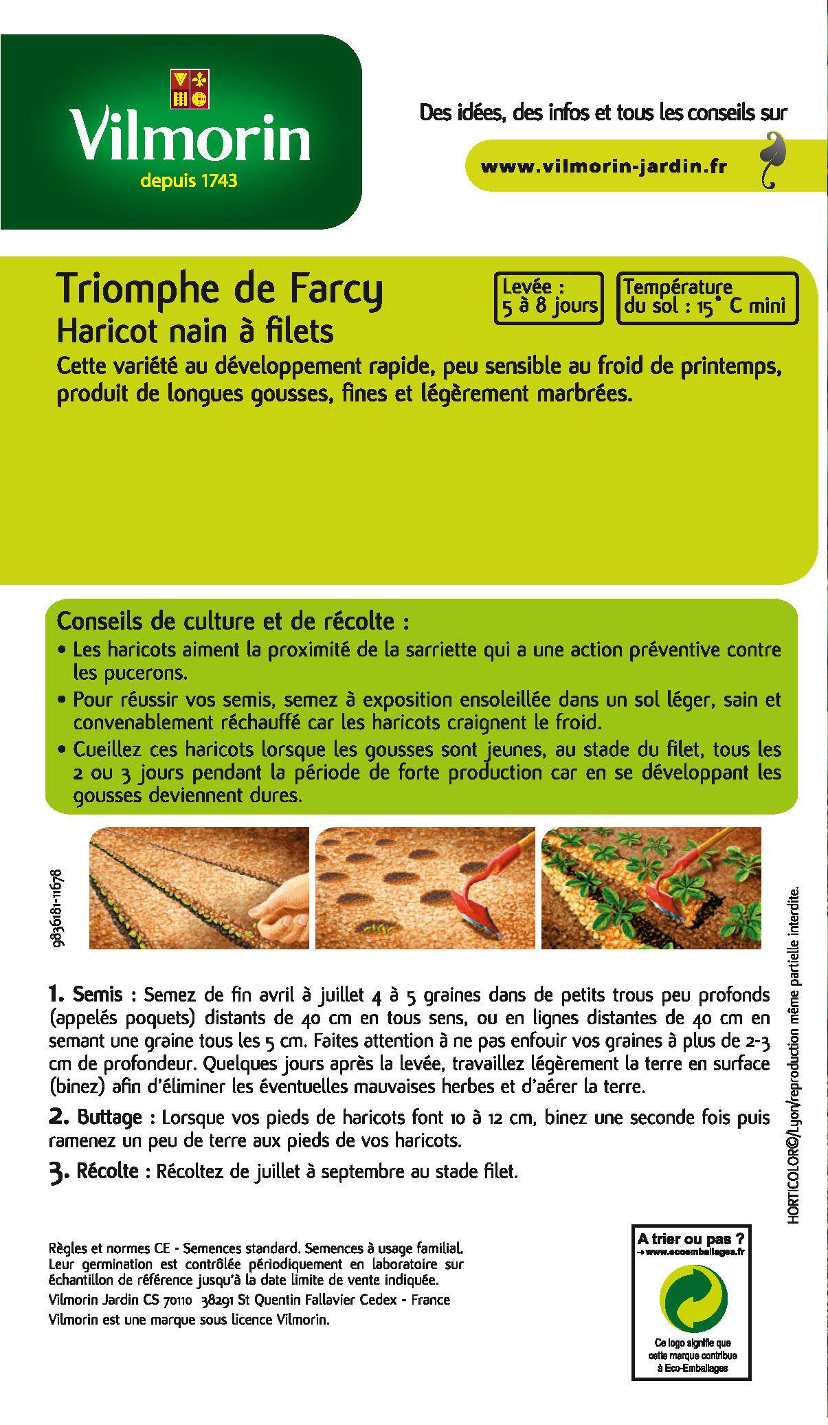 Vilmorin - Haricot triomphe de Farcy série 1 sachet graines 250 g - Vilmorin - Image 4