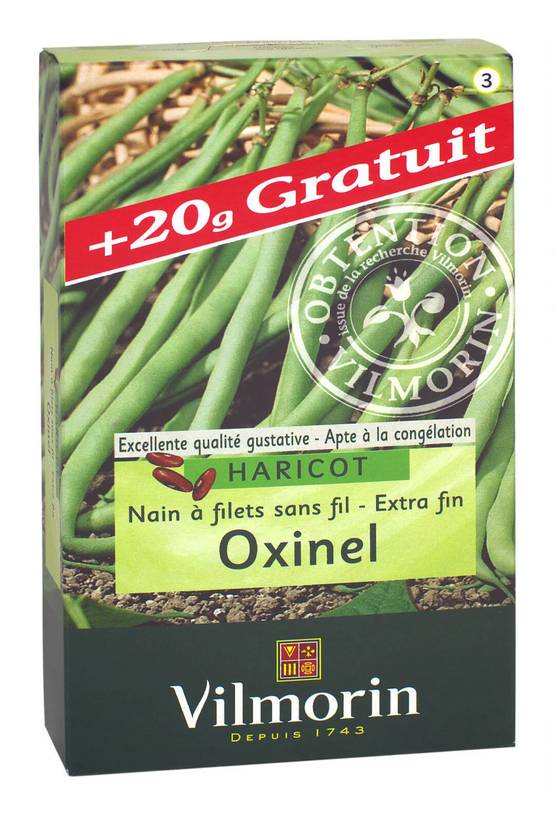 Graines De Haricot Nain Vert Oxinel - Variété Résistante 2-5 Mètres - Potager Bio
