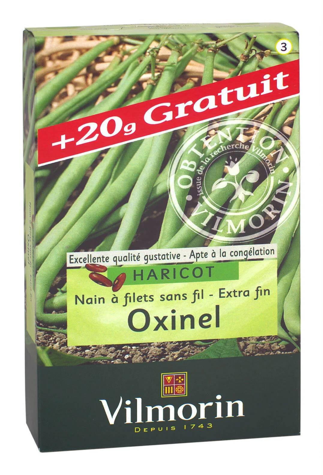 Graines De Haricot Nain Vert Oxinel - Variété Résistante 2-5 Mètres - Potager Bio