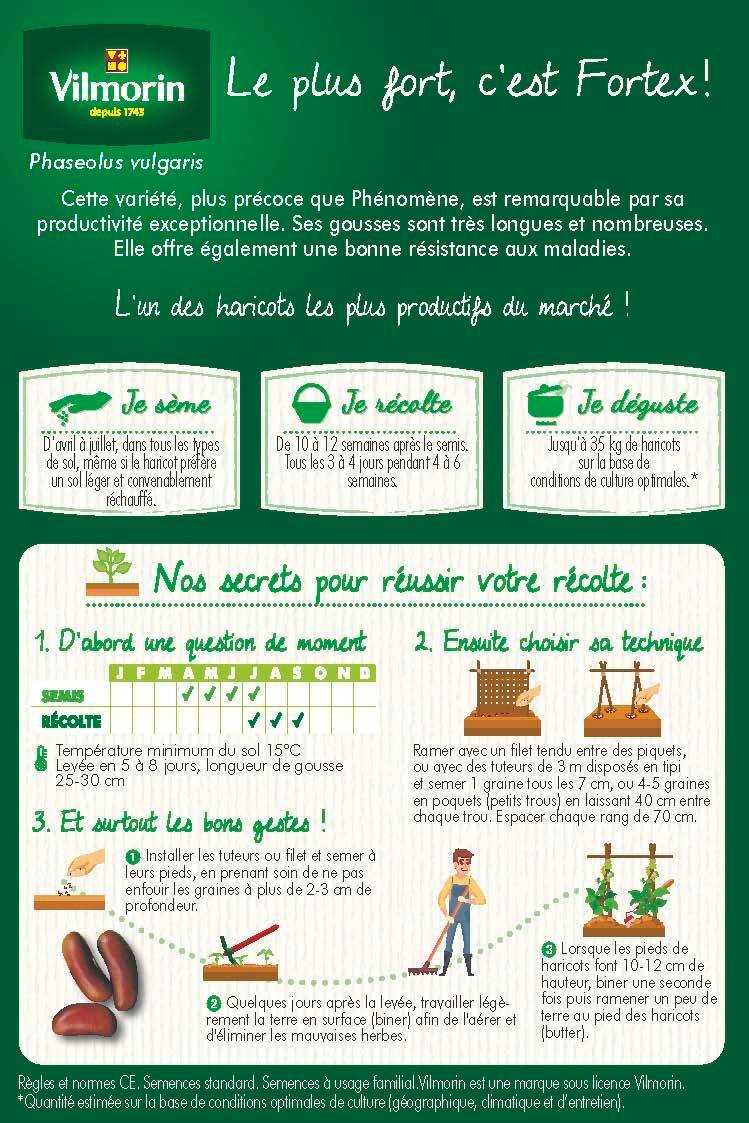 Vilmorin - Haricot Fortex mangetout obtention Inra série 20m sachet graines 102 g - Vilmorin - Image 3