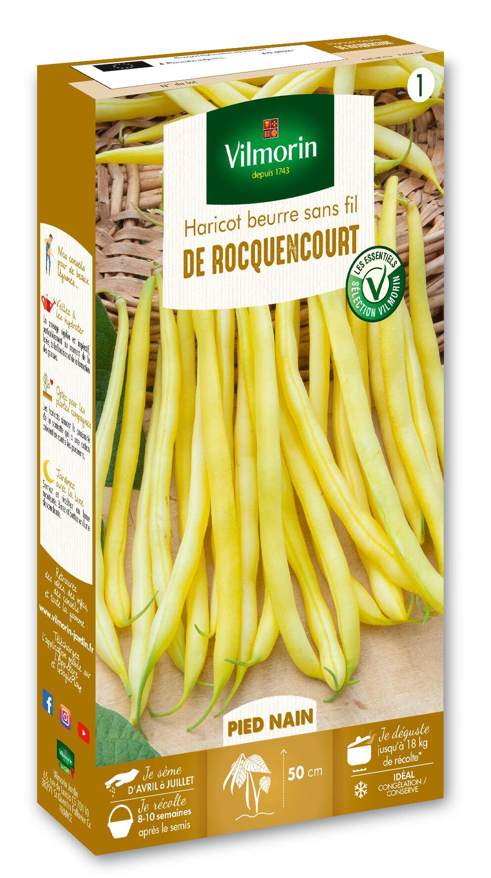 Vilmorin - Haricot Nain Beurre de Rocquencourt serie 1 boîte graines 250 g - Vilmorin - Image 2