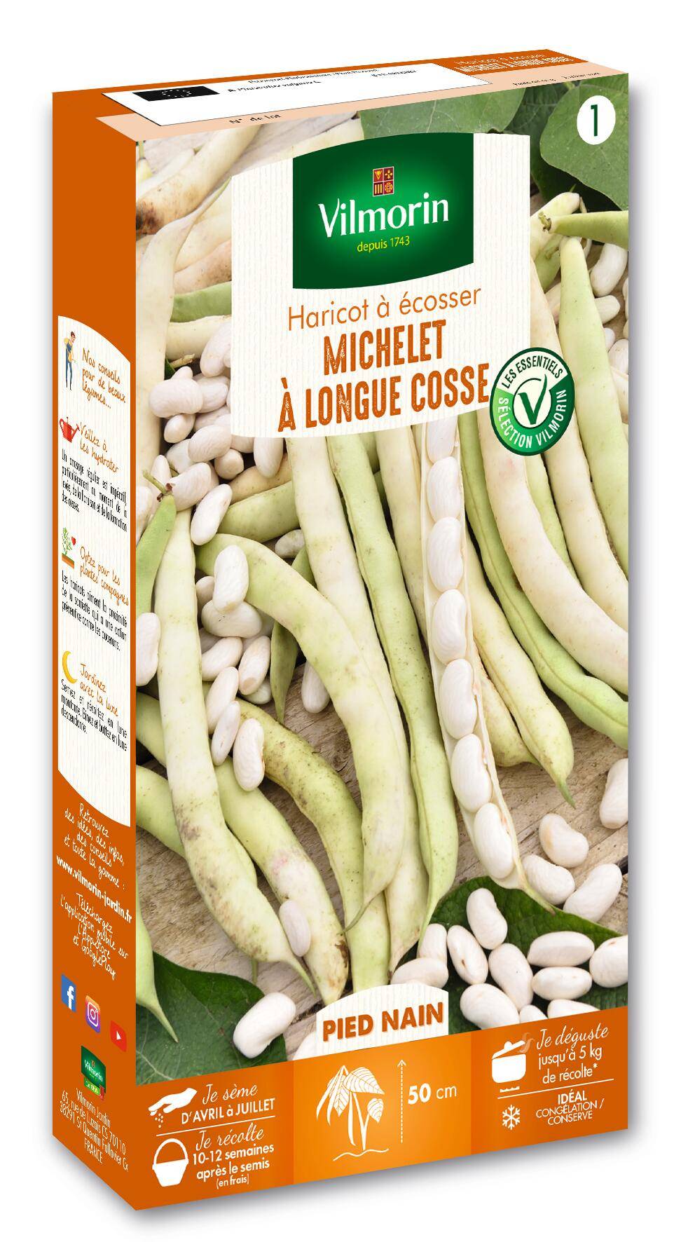 Vilmorin - Haricot Michelet à longue cosse série 1 sachet graines 200 g - Vilmorin - Image 2