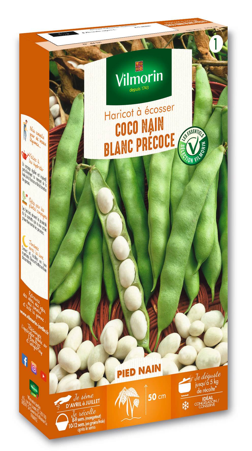 Vilmorin - Haricot coco nain blanc précoce série 1 sachet graines 200 g - Vilmorin - Image 2