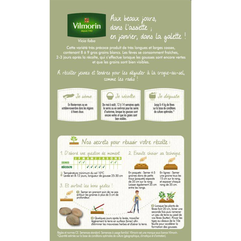 Vilmorin - Fève d'Aguadulce à très longue cosse série 20m sachet graines 242 g - Vilmorin - Image 4
