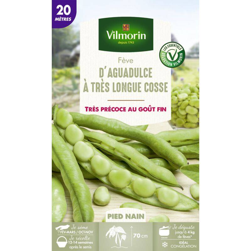 Vilmorin - Fève d'Aguadulce à très longue cosse série 20m sachet graines 242 g - Vilmorin - Image 2