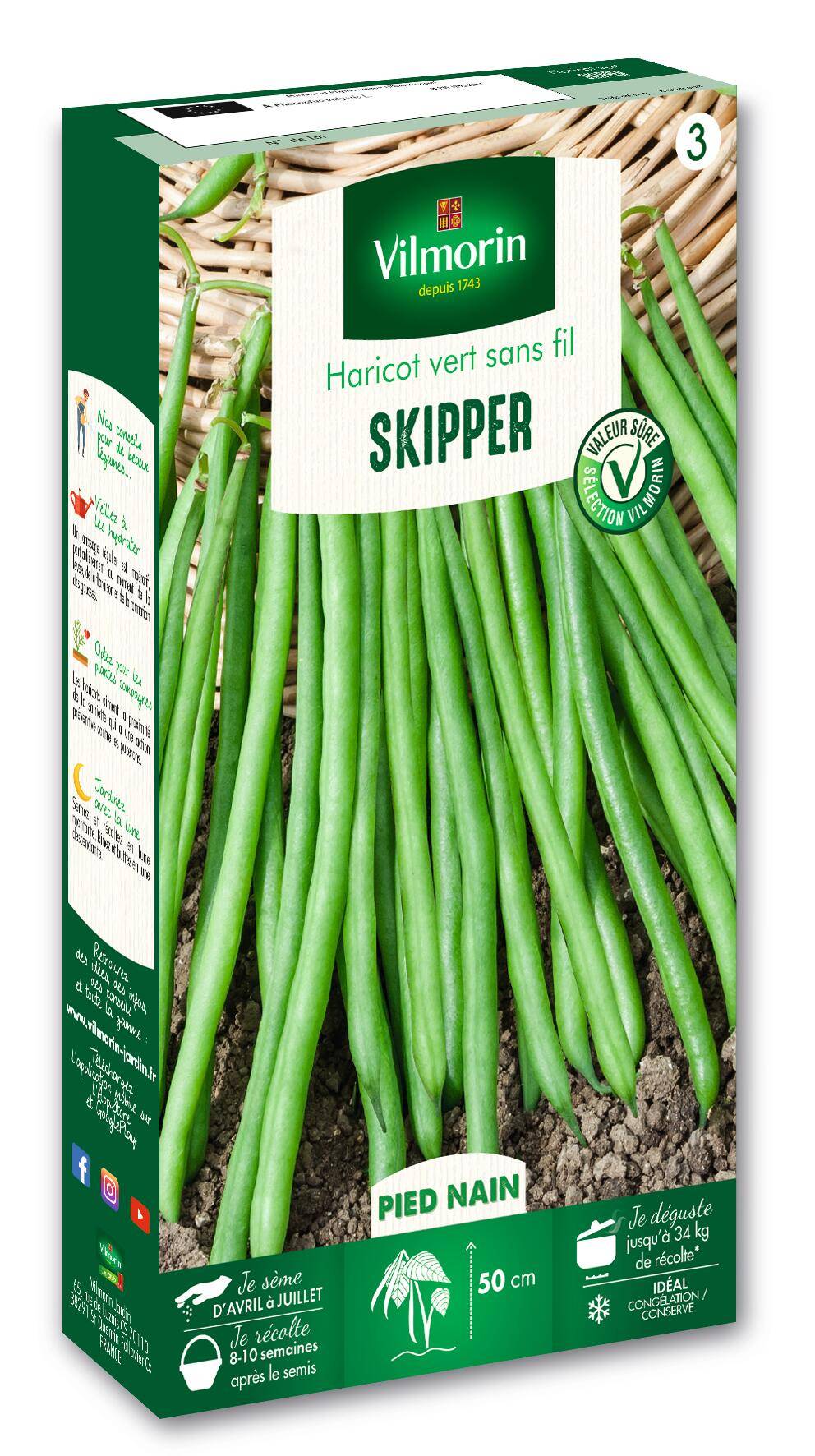 Vilmorin - Haricot Skipper création série 3 recommande pour congélation sachet graines 200 g - Vilmorin - Image 2
