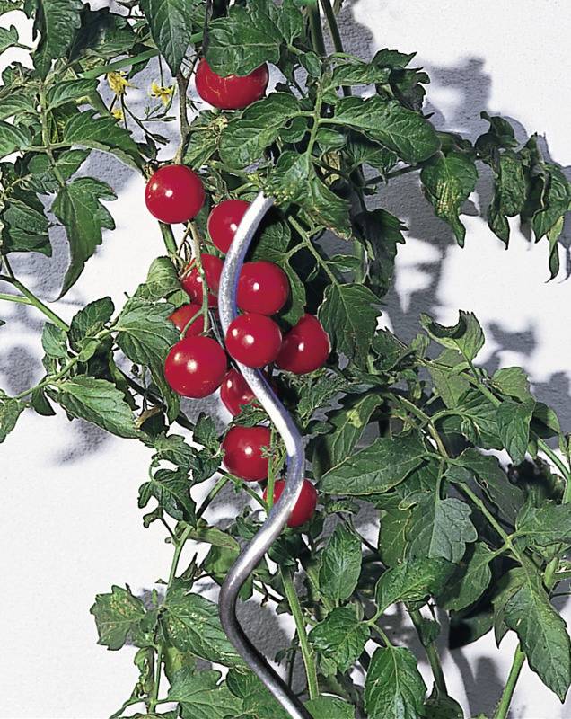 Windhager - Tuteur spirale pour tomate galvanisé 180cm - Image 2