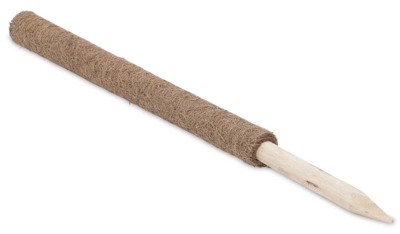 Windhager - Windhager - Tuteur en fibre de coco - L.60 x l.4 x H.60 cm