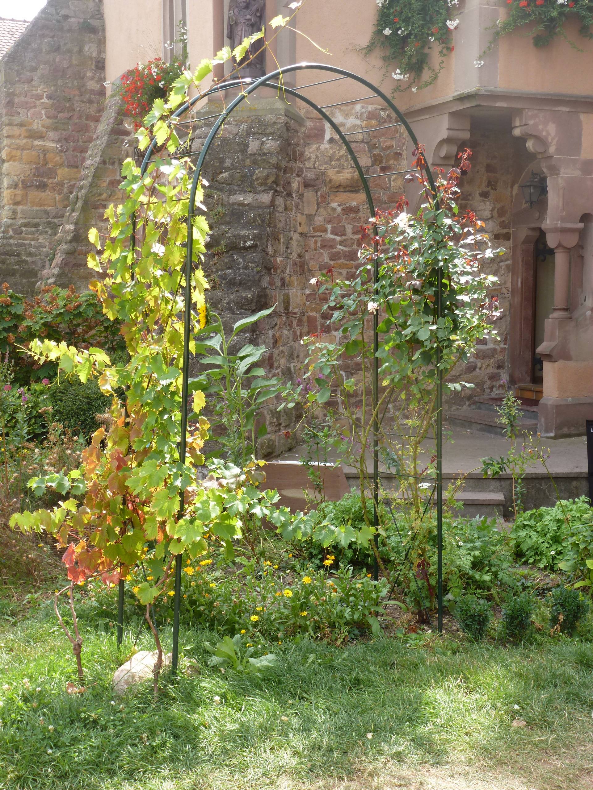 Louis Moulin - Arche de Jardin Acier Époxy - LOUIS MOULIN - Imagen 3