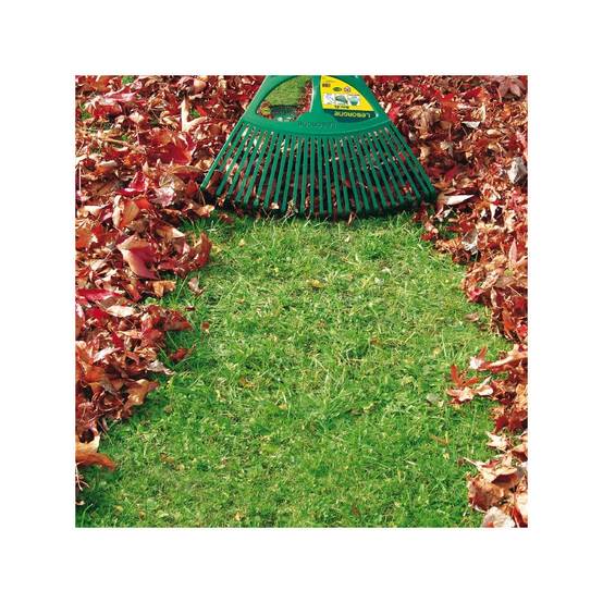 Leborgne - Balai à gazon XL 27 dents polymère manche bois certifié PEFC 130 cm – LEBORGNE - Image 9