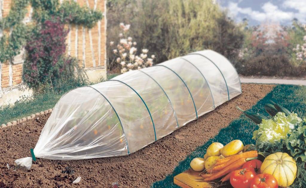 Nortène - Film de Forçage Spécial Primeurs Polyéthylène Transparent 2 x 10 m Ép. 50 µ - NORTENE