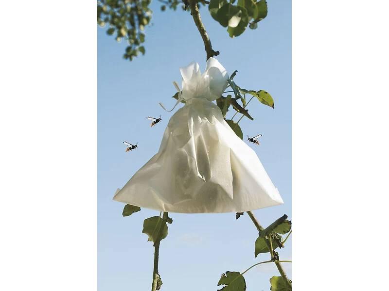 Nortène - Housses microperforées en papier blanc 20 x 30 cm – FRUITSAC