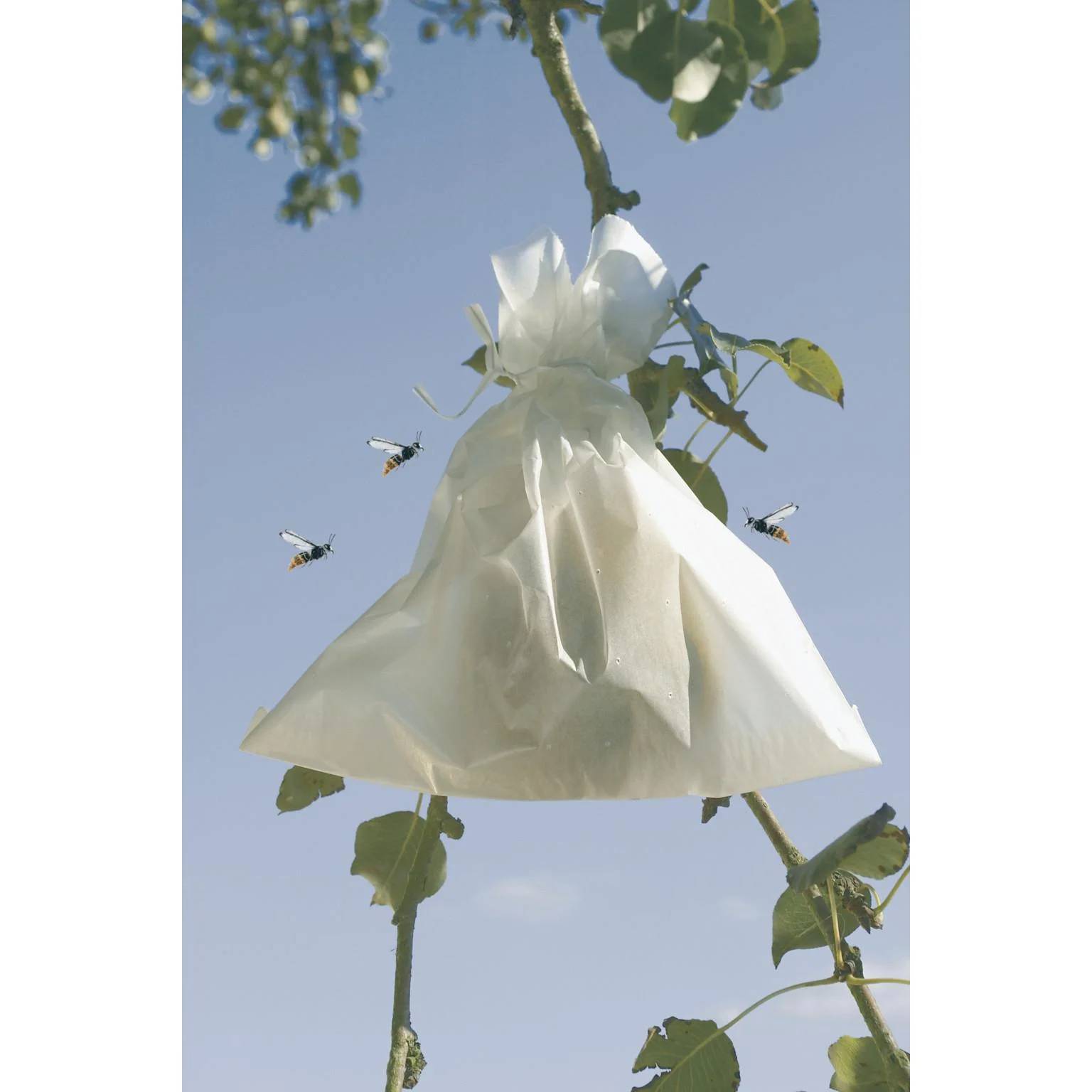 Nortène - Housses microperforées en papier blanc 20 x 30 cm – FRUITSAC - Imagen 4