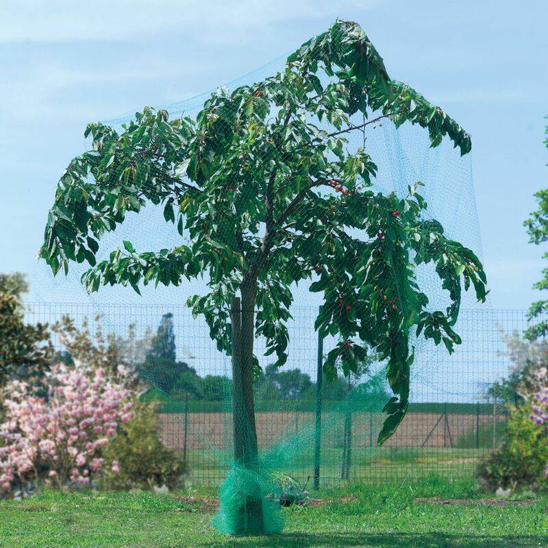 Nortène - Birdnet - Filet de protection oiseaux L.10 x l.8 m - Imagen 6