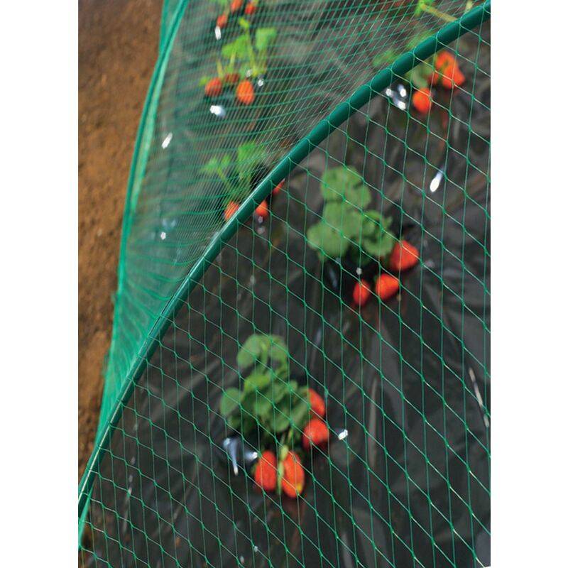 Nortène - Birdnet - Filet de protection oiseaux L.10 x l.8 m - Imagen 7