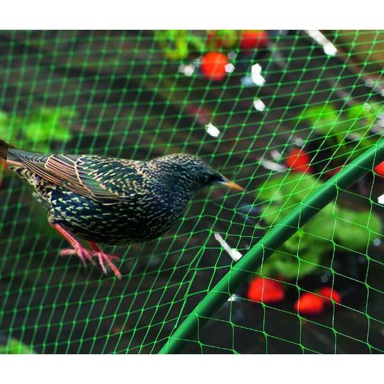 Nortène - Birdnet - Filet de protection oiseaux L.10 x l.8 m - Image 5