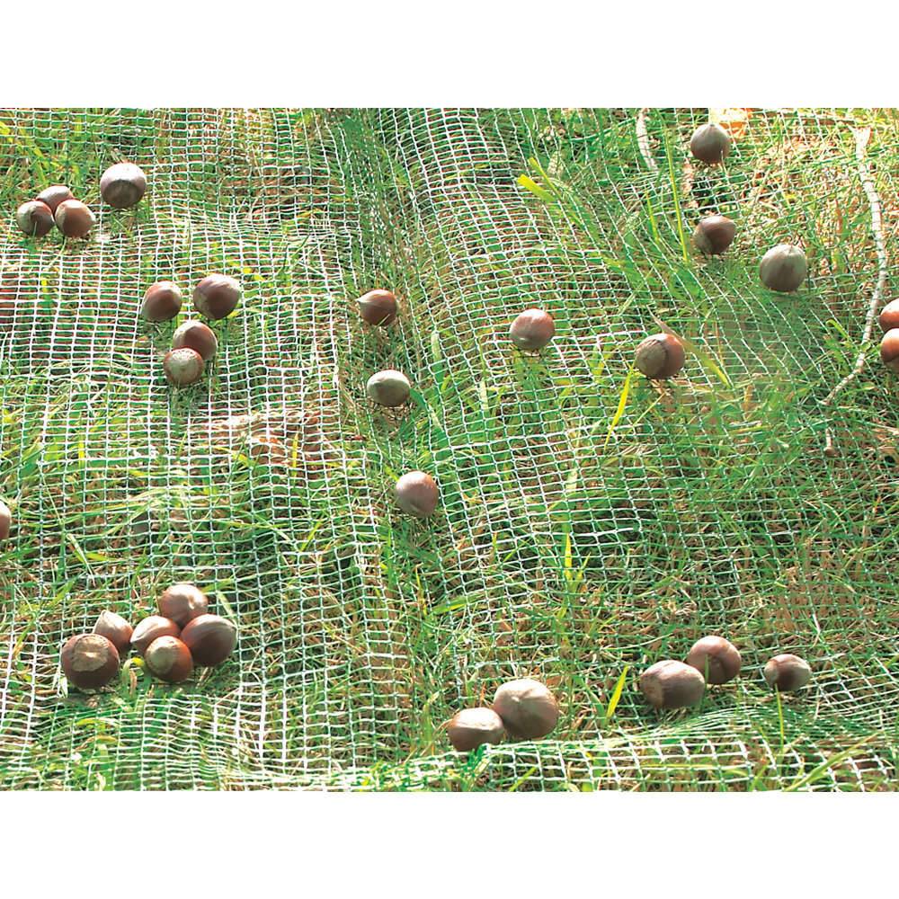 Nortène - Filet de ramassage – NORTENE - Imagen 3